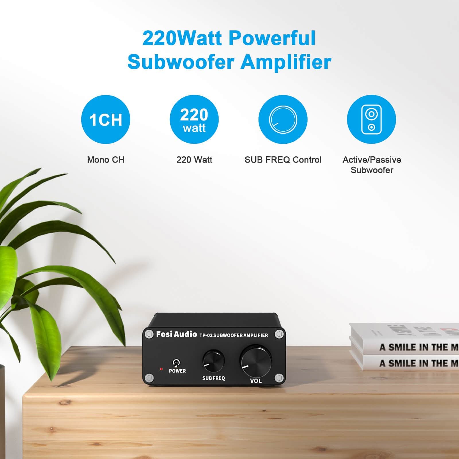 Fosi Audio TP - 02 Subwoofer Amplifier - Fosi Audio