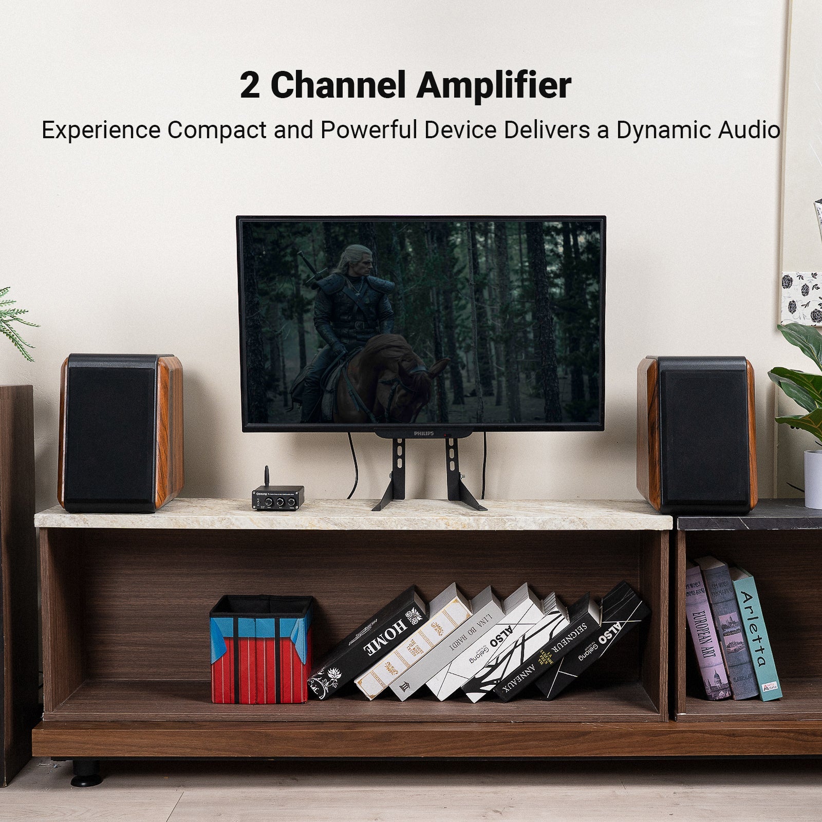 Onwung BT20A Bluetooth Stereo Amplifier