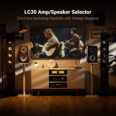 Onwung LC30 VU Meter Amplifier Speaker Selector