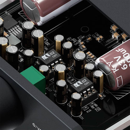 SparkoS Labs SS3602, Burson V7, OPA2134PA - Fosi Audio