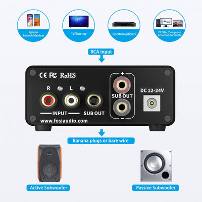 Fosi Audio TP - 02 Subwoofer Amplifier - Fosi Audio