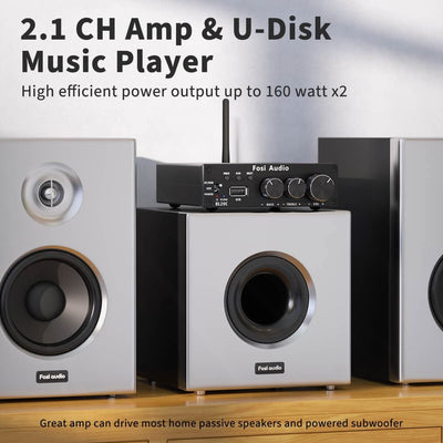 Fosi Audio BL20C Bluetooth USB Stereo Amplifier - Fosi Audio