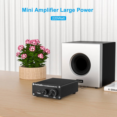 Fosi Audio TP - 02 Subwoofer Amplifier - Fosi Audio