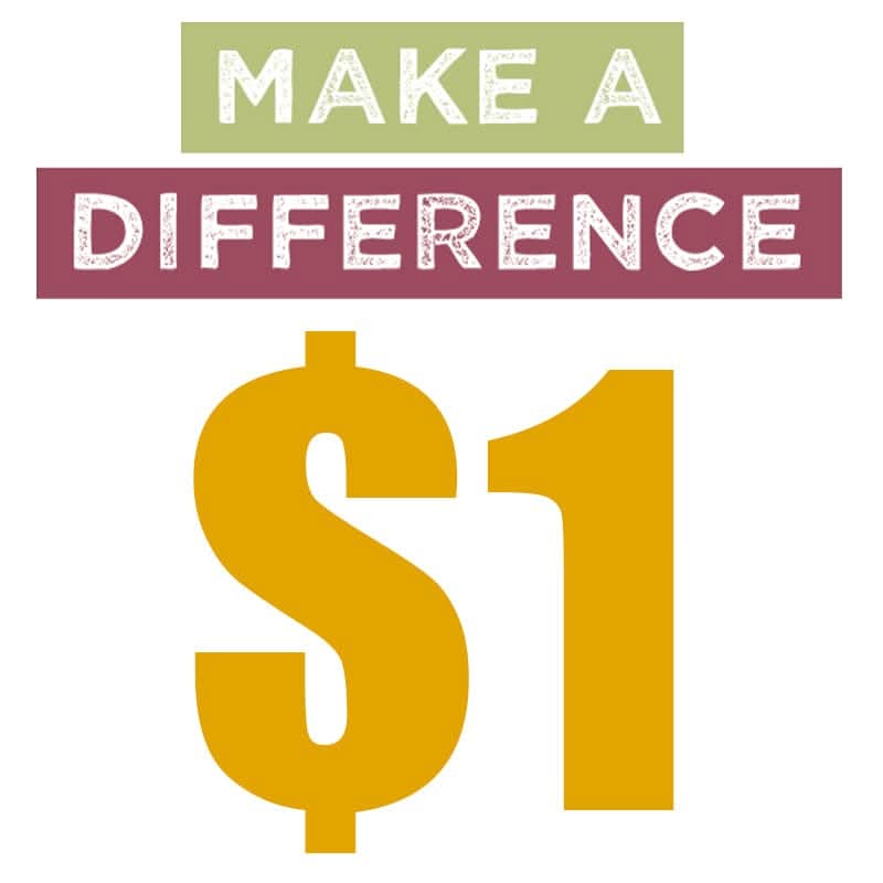 Fosi Audio Make Up the Price Difference of $1 - Fosi Audio